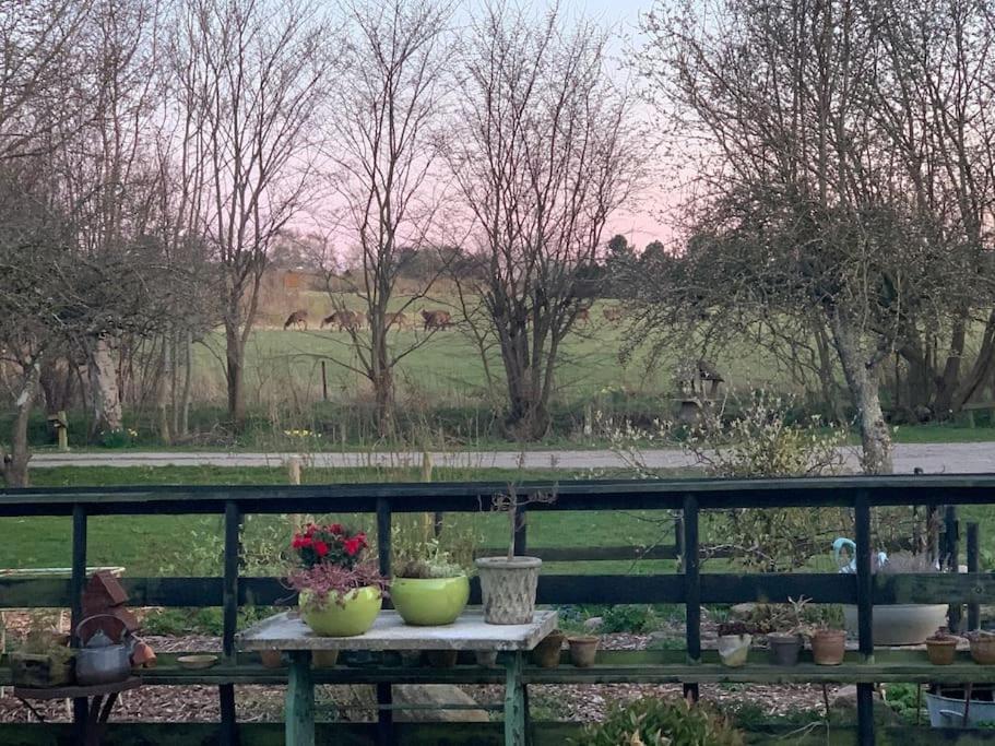 Appartement Kongsholmlund. Enjoy The Countryside. à Vejby Extérieur photo